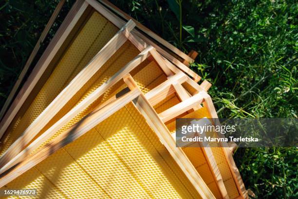 honeycombs with a frame for bees without honey. beekeeping. apiary. eco product. hive. - beekeeper tending hives stock pictures, royalty-free photos & images