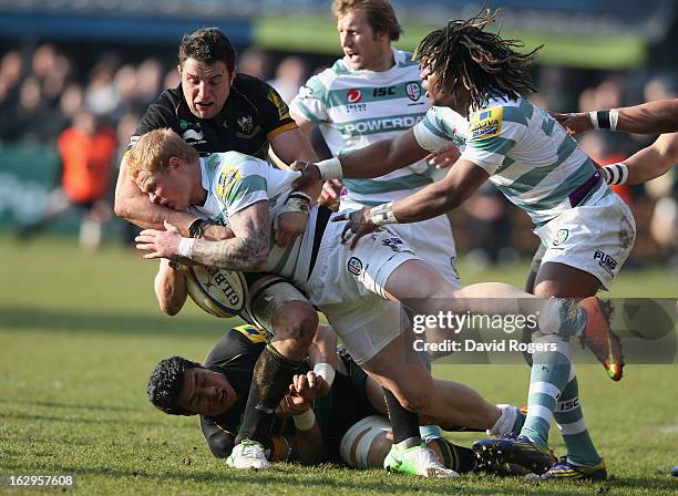 Tom Homer of London Irish is tackled by George Pisi and Phil Dowson during the Aviva Premiership match between Northampton Saints and London Irish at...