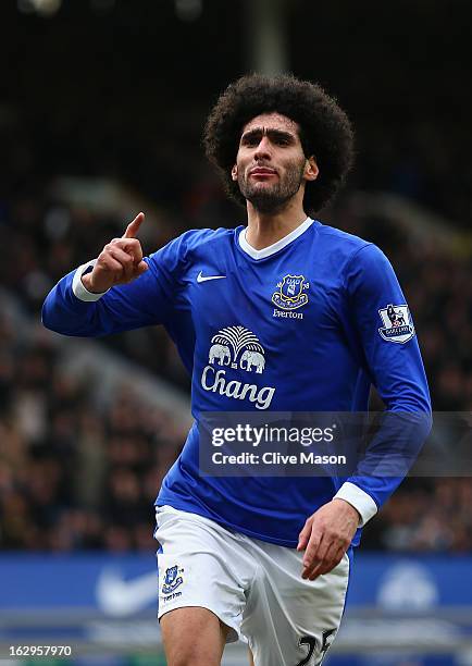 Marouane Fellaini of Everton celebrates his goal during the Barclays Premier League match between Everton and Reading at Goodison Park on March 2,...