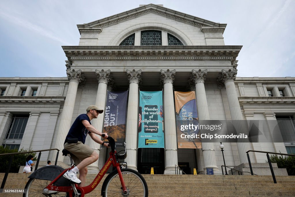 Questions Surround Human Remains Held At Smithsonian Museum
