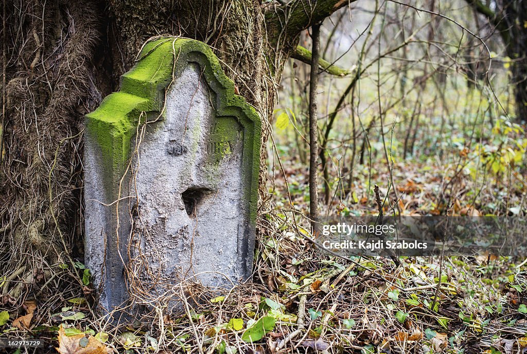 Old stone cross in the autumn foliage