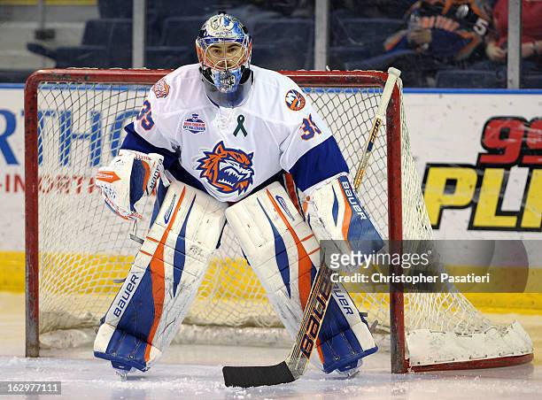 Rick DiPietro of the Bridgeport Sound Tigers looks on as he tends goal prior to an American Hockey League game against the Adirondack Phantoms on...