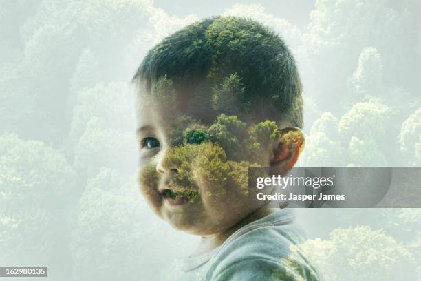 Baby Tree Image Baby Trees Photos and Premium High Res Pictures - Getty Images