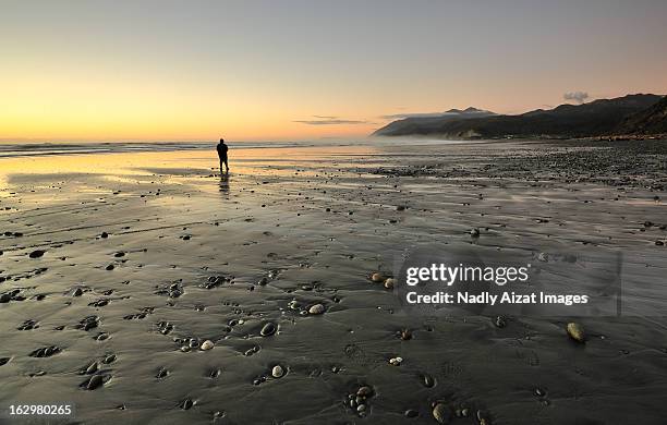 view of rapahoe beach, west coast new zealand - greymouth stock-fotos und bilder