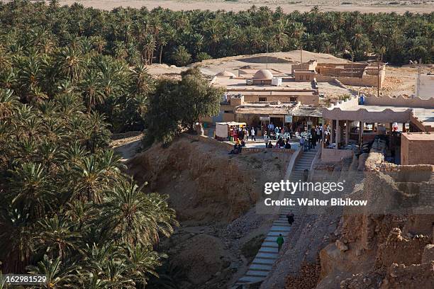 chebika, tunisia, detail view - palmeraie stock pictures, royalty-free photos & images