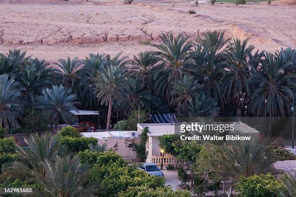 tozeur, tunisia, town view - palmeraie stock pictures, royalty-free photos & images
