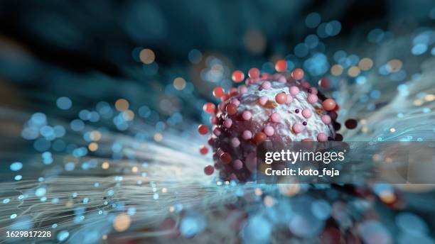 quantum - large hadron collider stock pictures, royalty-free photos & images
