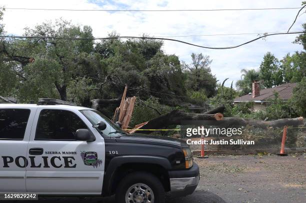 Sierra Madre police vehicle drives by a tree that fell onto a house during tropical storm Hilary on August 21, 2023 in Sierra Madre, California. Much...