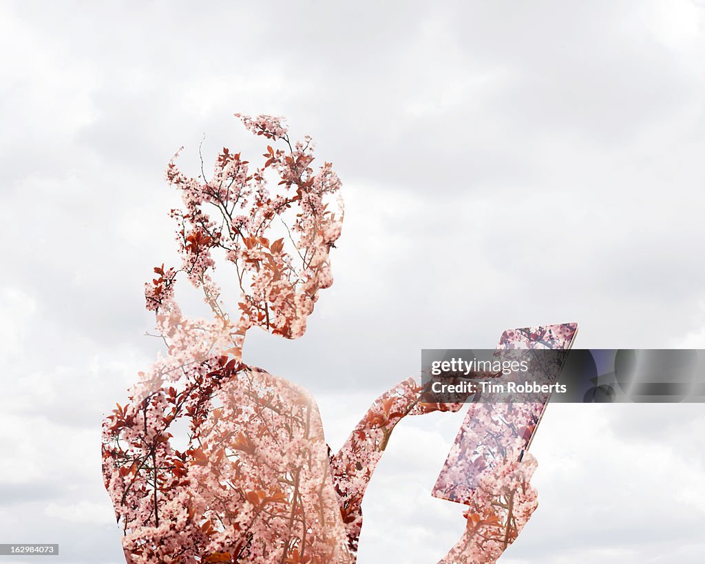 Woman using digital tablet with blossom.