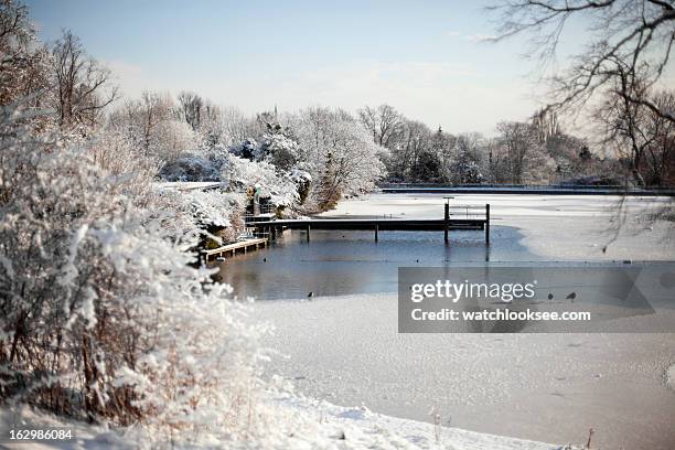 hampstead heath - mens swimming pond - hampstead heath - fotografias e filmes do acervo