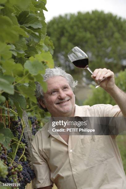 Rendezvous With The Cook Alain Dutournier. Attitude souriante d'Alain DUTOURNIER, regardant un verre de vin rouge, au milieu de ses vignes à...