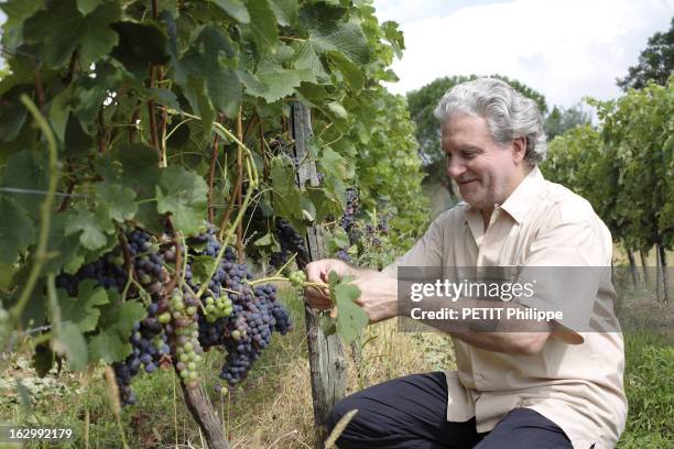 Rendezvous With The Cook Alain Dutournier. Attitude souriante d'Alain DUTOURNIER, accroupi au milieu de ses vignes à Cagnotte, près de Peyrerhorade...