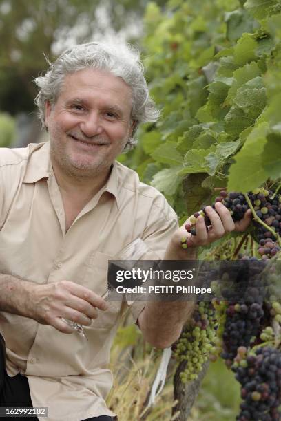 Rendezvous With The Cook Alain Dutournier. Attitude souriante d'Alain DUTOURNIER, un verre de vin rouge à la main, au milieu de ses vignes à Cagnotte...