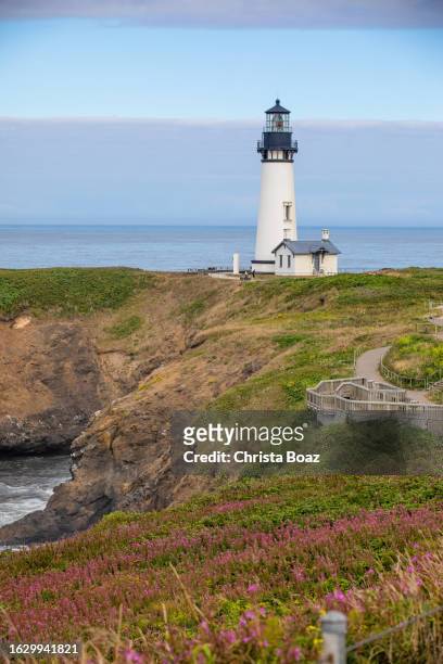 yaquina head lighthouse - christa stock pictures, royalty-free photos & images