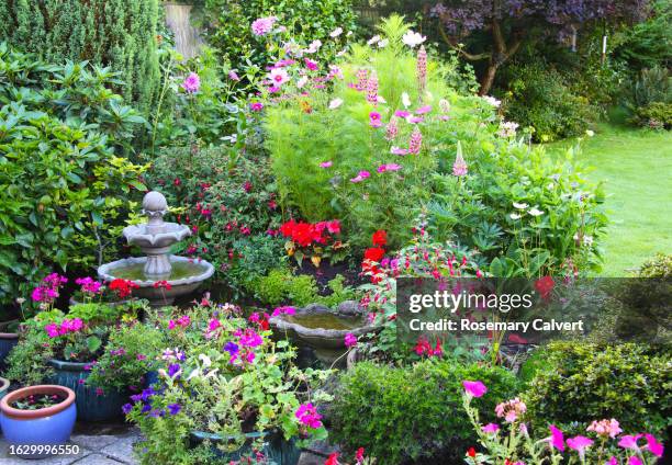 colourful english domestic garden in august, england, uk. - english garden stock pictures, royalty-free photos & images