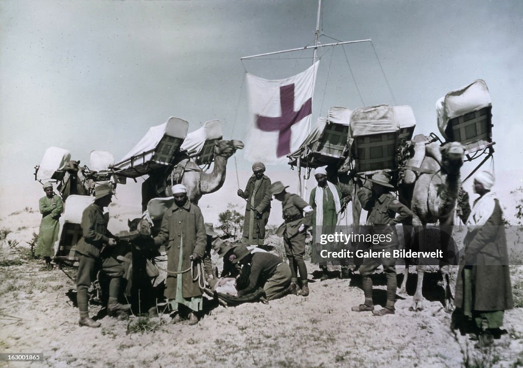 Australians in Egypt