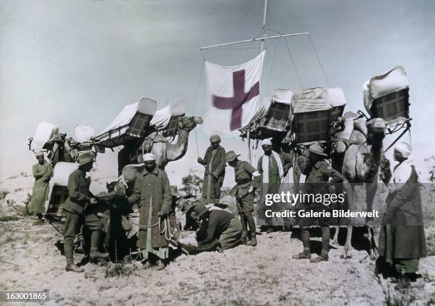 Four camel ambulances attached to the Imperial Camel Corps at Rafa, which was used as a base for the attack on Gaza, held by forces of the Ottoman...