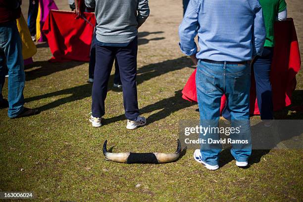 Bull horns lies on the grass as enthusiasts listen instructions as they practice bullfighting in a city park in Santa Perpetua de la Mogoda on March...