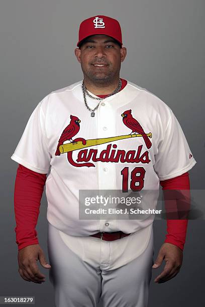 Coach Bengie Molina of the St. Louis Cardinals poses during Photo Day on February 19, 2013 at Roger Dean Stadium in Jupiter, Florida.