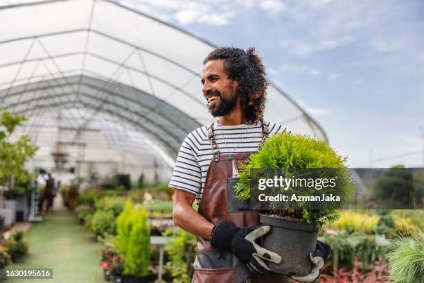 a male middle eastern florist working at a garden center - greenhouse stock pictures, royalty-free photos & images