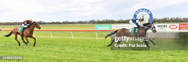 Sunsets ridden by John Allen wins the Pacific Fuel Solutions Maiden Plate at Donald Racecourse on August 29, 2023 in Donald, Australia.