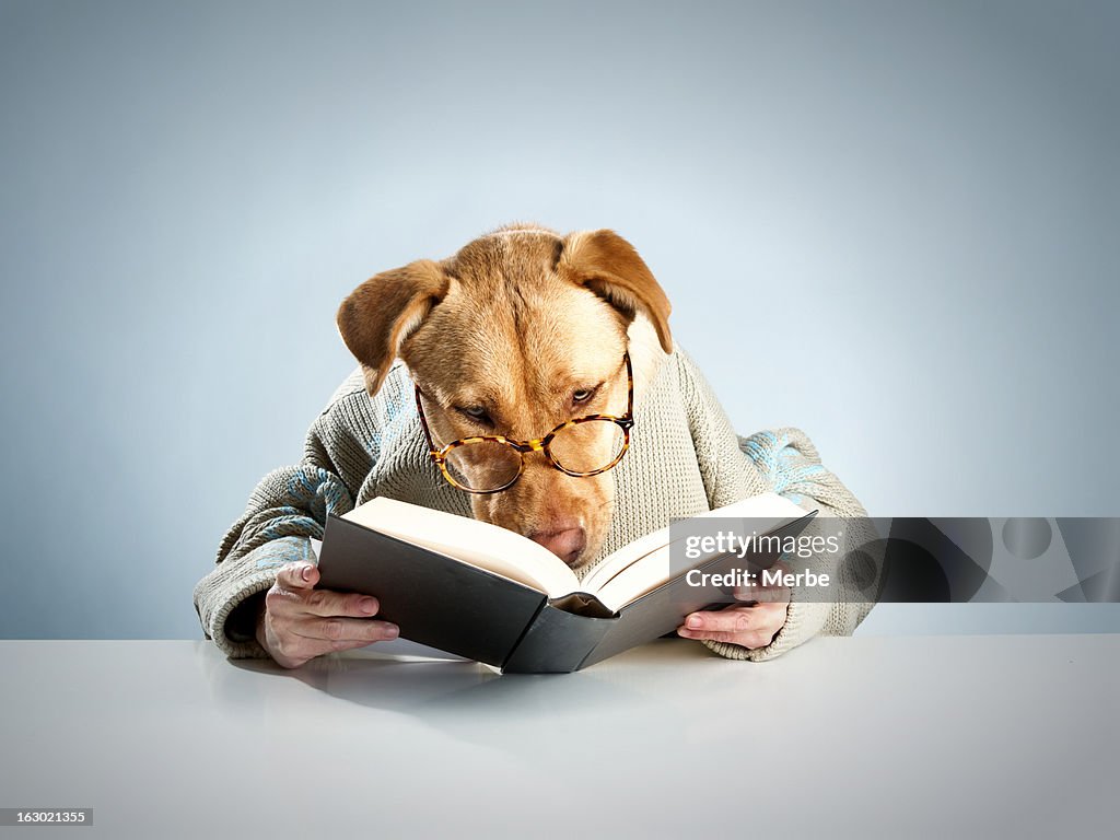 Dog Reader Dog Reading Book