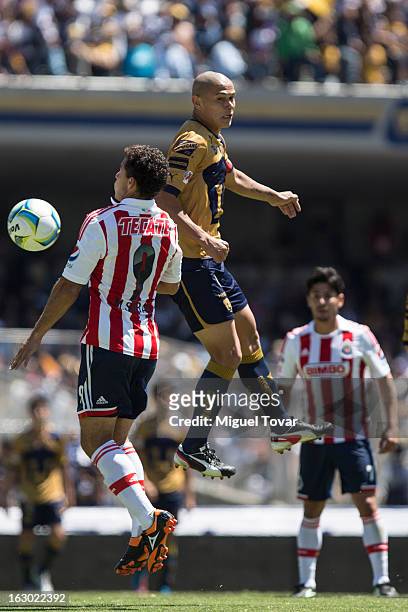 Dario Veron of Pumas struggles for the ball with Miguel Sabah of Chivas during a match between Pumas and Chivas as part of Clausura 2013 Liga MX at...