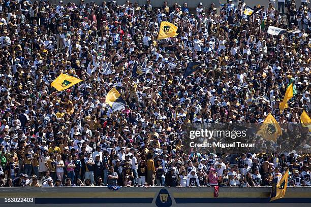 Supporters of Pumas cheer for their team during a match between Pumas and Chivas as part of Clausura 2013 Liga MX at Olympic Stadium on March 03,...