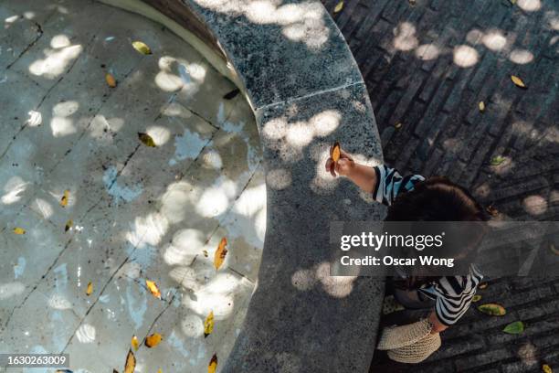 elevated view of toddler playing with yellow leaves floating on water in the fountain - girl floating above city fotografías e imágenes de stock