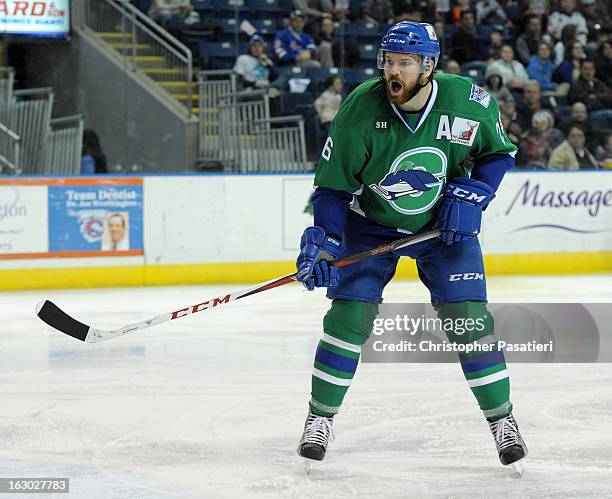 Brandon Segal of the Connecticut Whale skates during an American Hockey League game against the Bridgeport Sound Tigers on March 3, 2013 at the...