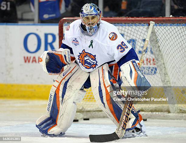 Rick DiPietro of the Bridgeport Sound Tigers tends goal prior to an American Hockey League game against the Connecticut Whale on March 3, 2013 at the...