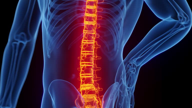 632 Backbone Background Stock Videos, Footage, & 4K Video Clips - Getty ...