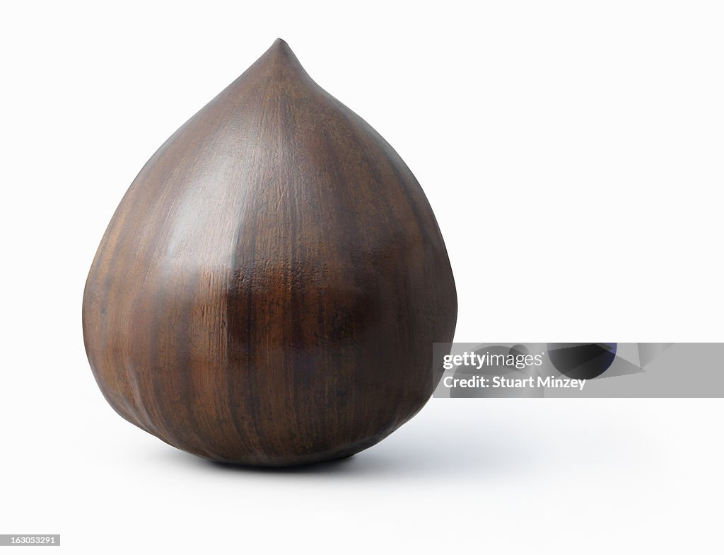 Chestnut on white background