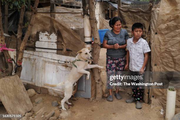 Josefina Luna, center, her son Iva Alejandro Luna and their dog Guero, watch as members of the Baja California Health Department and a team of...