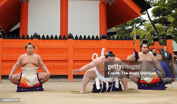 Japanese Ritual Sumo Yokozuna Perform Dohyo Iri Ritual At Sumiyoshi Taisha Shrine Photos and ...
