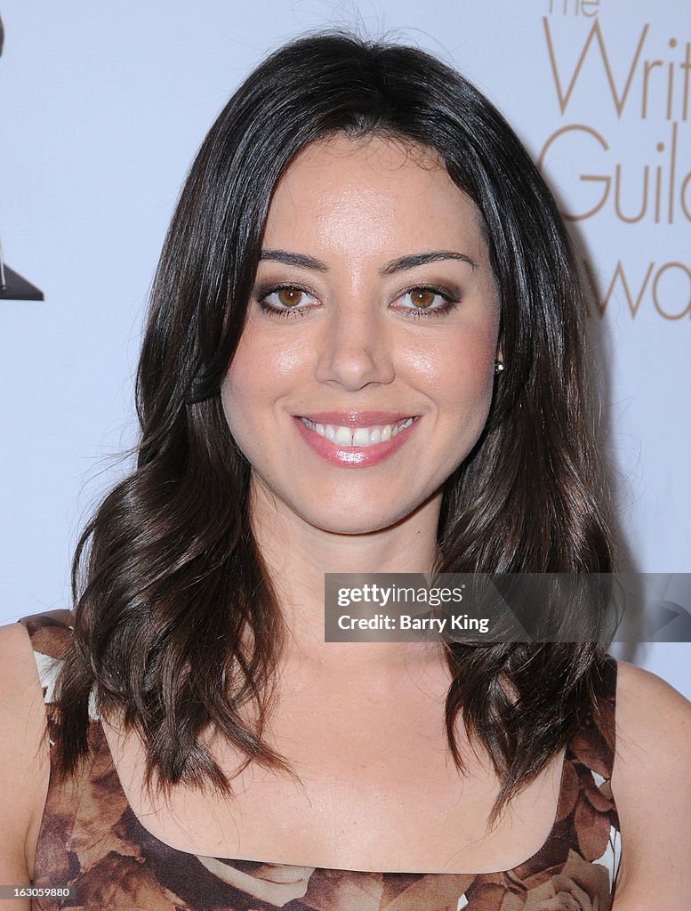 2013 Writers Guild Awards