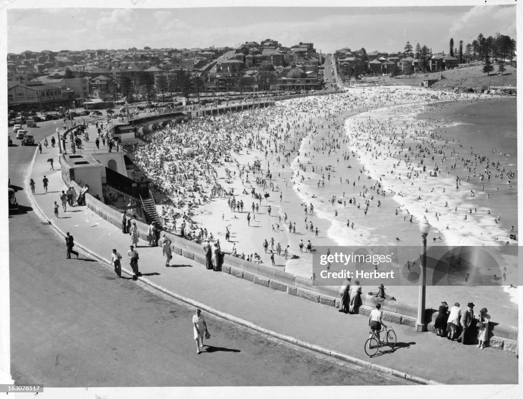 Coogee Beach In Sydney, Australia