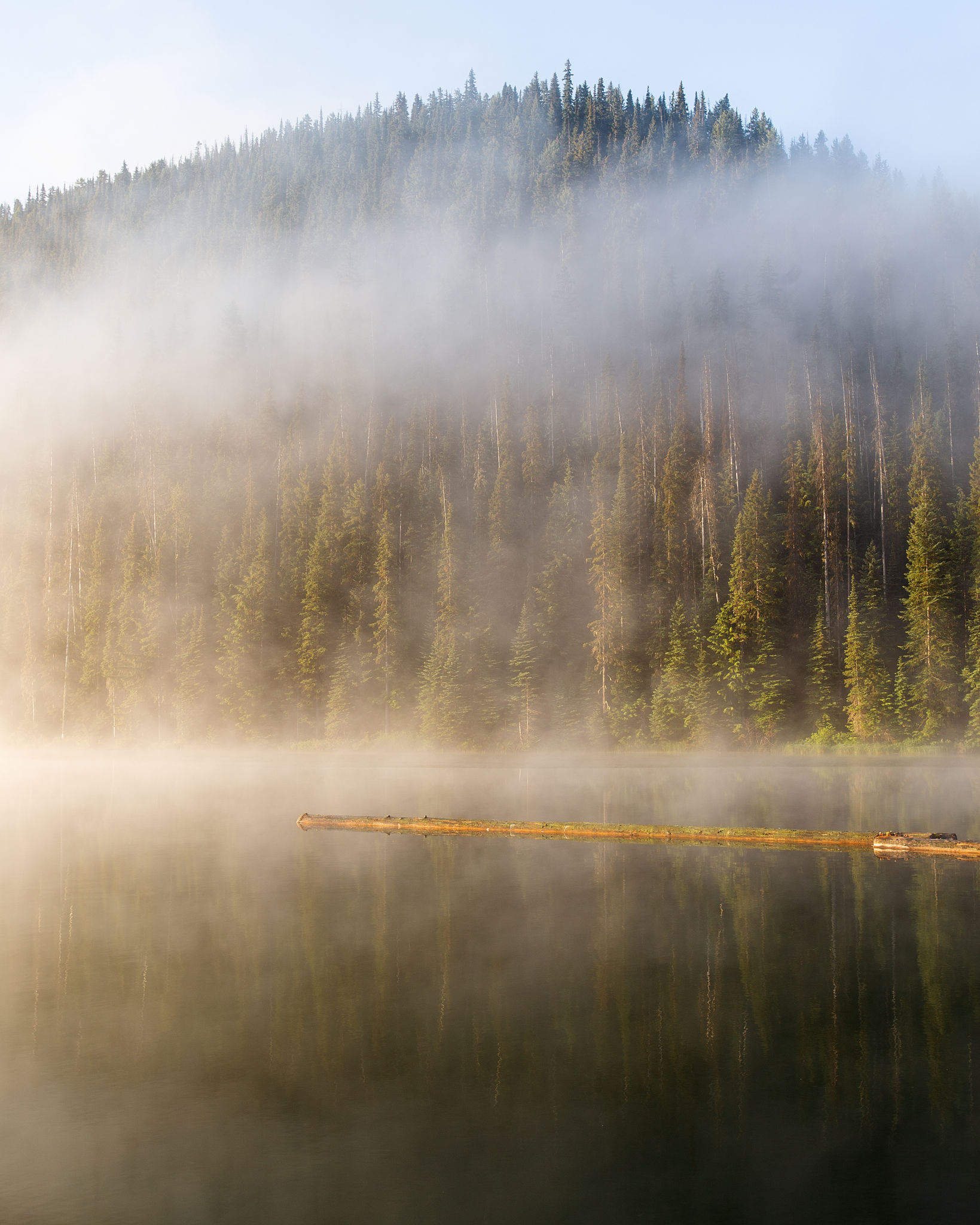 Misty Morning Outdoors Misty Morning Outdoors