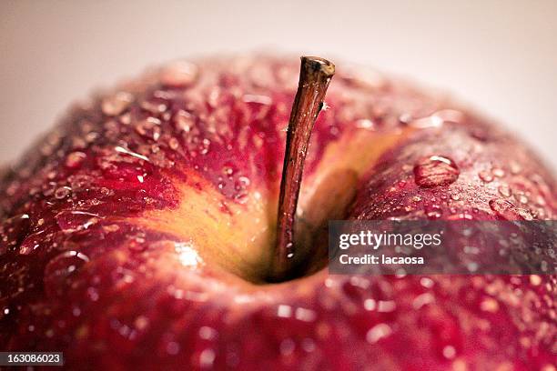 red apple - red apple stock pictures, royalty-free photos & images