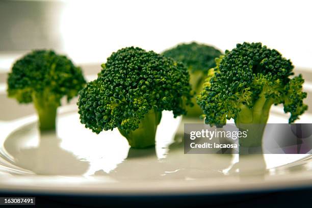 broccoli florets on a white plate - brokkoli fotografías e imágenes de stock