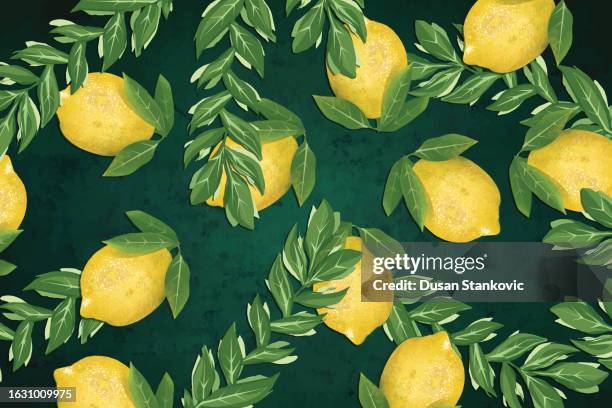 floral seamless pattern and lemon - lime background stock illustrations