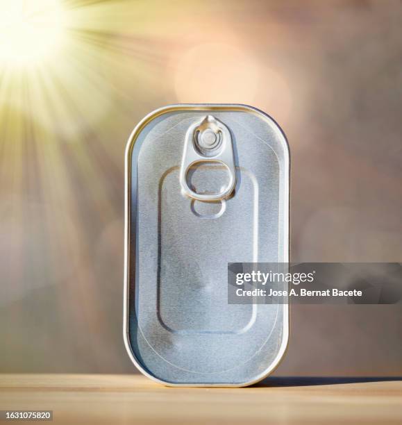 close-up of canned food  illuminated by sunlight. - sardine tin stock pictures, royalty-free photos & images