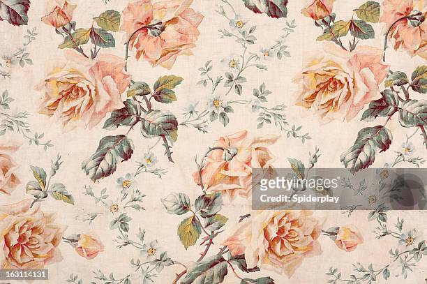 medley rose close up - vintage stock 個照片及圖片檔