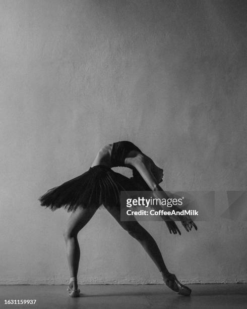 beauty of ballet. black and white photo - ballet dancers russia bildbanksfoton och bilder