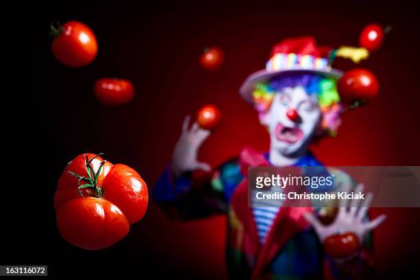 flop - throwing tomatoes stock-fotos und bilder