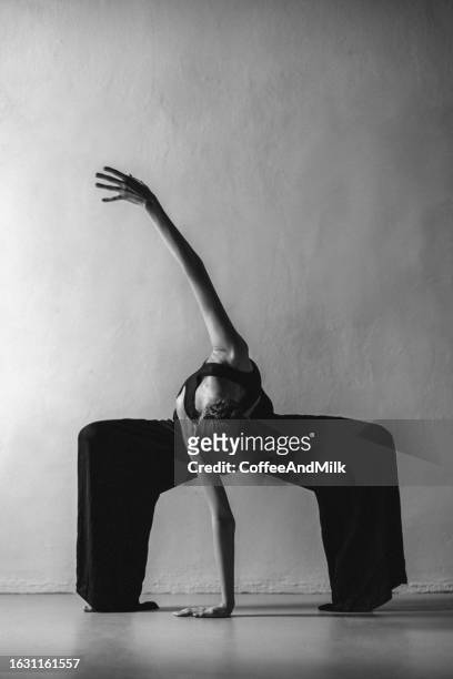 die schönheit des balletts. schwarz-weiß-foto - ballet dancers russia stock-fotos und bilder