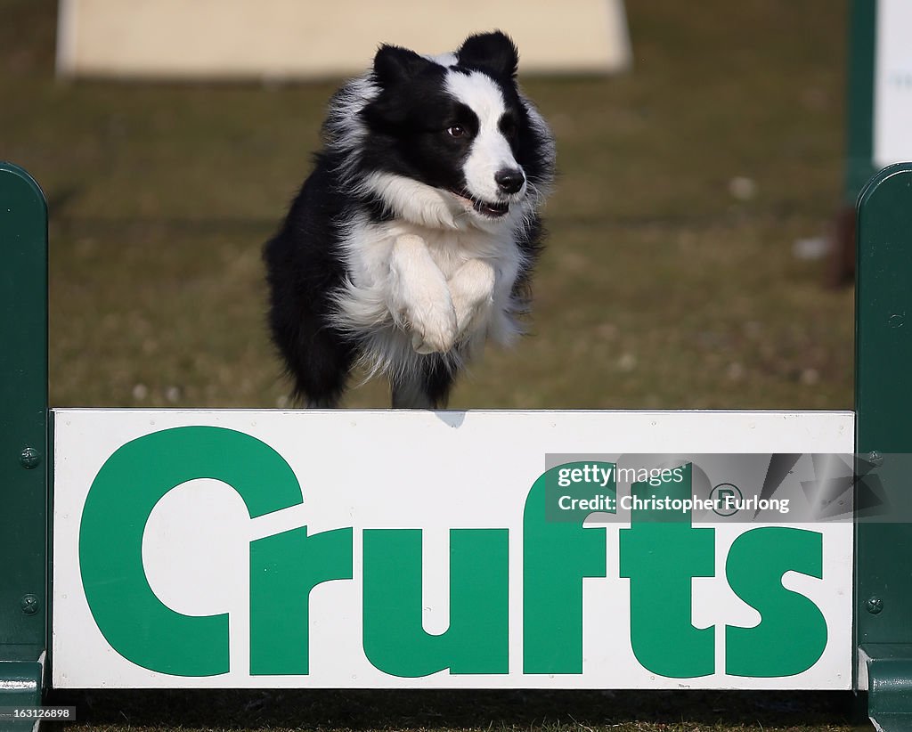 Crufts Prepares For The Start Of Annual Competition