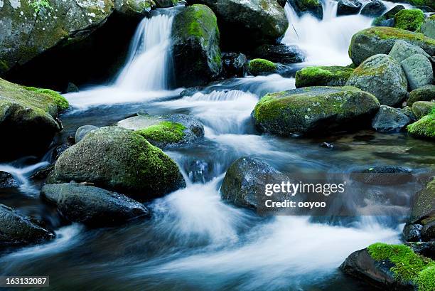 río de montaña - waterfall fotografías e imágenes de stock