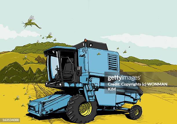 Harvest Field, Photo