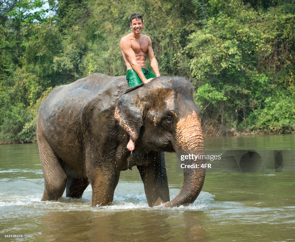 Guy Riding Elephant Man Riding On An Elephant Tropical Rain Forest High-Res Stock Photo ...